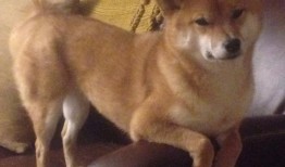 银行通过互联网拓展客户群体