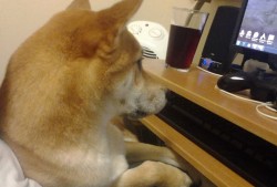 厦门建站技术解析与应用实践