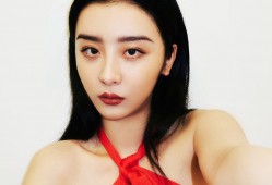 建站技术手册详解与实用指南