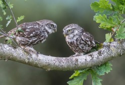 玩网网络日志的深度解析