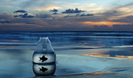 手绘软件应用图解教程