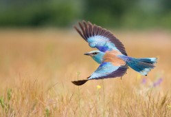 中小企业建站常见误区与解决方案