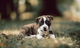 横琴镇网站SEO优化技巧与实践指南