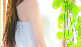 CMS建站技术解析与应用指南