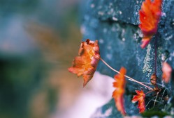 光山网站推广与营销服务中心