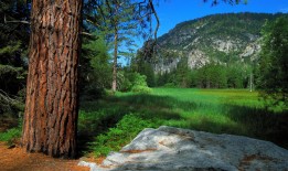 生活中的点滴感悟，记录心情的简短说说