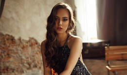 专业建站优化技术解决方案提供商