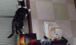 SEO优化中的网站地图制作与应用