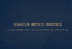 初级会计软件应用教程PDF详解