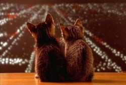 技术建站的优势与适用场景分析