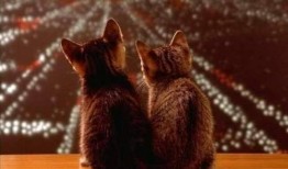 设备显示无互联网络的可能原因