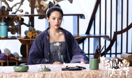 智导互联网络的收费标准解析