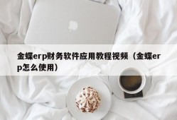 金蝶erp财务软件应用教程视频（金蝶erp怎么使用）