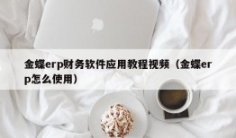 金蝶erp财务软件应用教程视频（金蝶erp怎么使用）