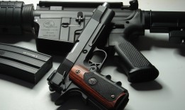 熊猫互联科技：创新引领未来网络连接新体验