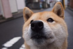 南京模板建站技术优质解析