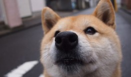 开创互联网络有限公司的创新之路