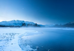 如何有效降低网站跳出率并提升SEO效果