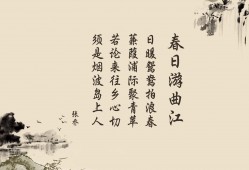 郑州专业网站关键词SEO优化服务公司