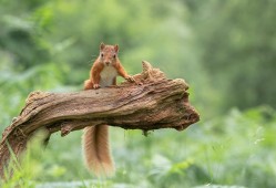 什么是建站技术及其应用解析