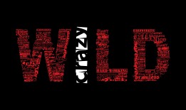 互联网络设备的分类与识别