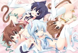 谷歌建站指南下载与安装教程