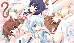 千讯建站：专业技术支持助力网站快速搭建