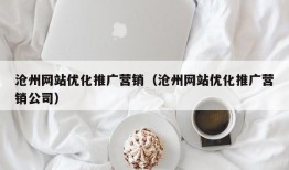 沧州网站优化推广营销（沧州网站优化推广营销公司）