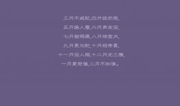 六盘水地区高效营销推广与网站优化策略