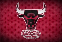 精通极致物业软件的全面应用指南