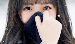 如何有效进行免费网站的SEO优化