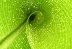 主流建站技术全面解析与对比