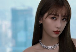 浙江互联网网络技术合同