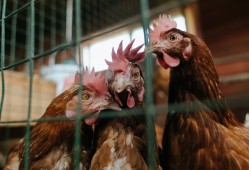 如何正确连接到互联网