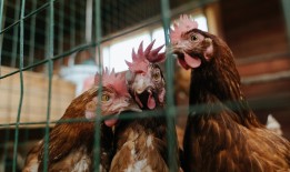 无线网络日志是否可以删除