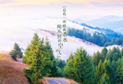 网络广告中的欺诈陷阱