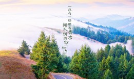 聊城专业SEO网站优化推广服务