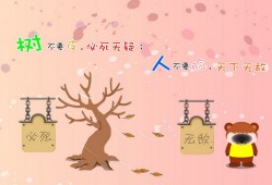 长春SEO网站优化技巧与实践指南