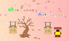 校园网络日志的创新实践与应用探索