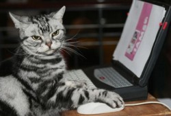 武进地区代码编程建站技术解析与应用