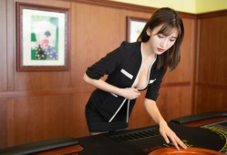 建站技术手册详解与实用指南