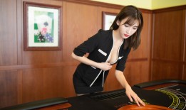 建站技术手册详解与实用指南