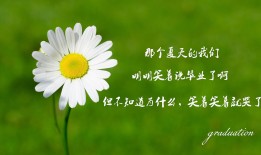 互联网络是一种通过多种通信技术连接全球计算机和设备的网络形式。