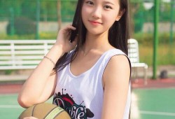 建站技术全面检索指南