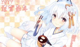 中国教育和科研计算机网互联网络