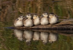 如何有效处理网络日志