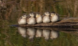 如何关闭网络日志监测功能
