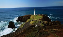 SEO网站优化流程详解