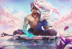 搜索引擎优化建站指南全面对比分析