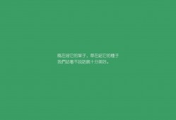 雅安专业网络推广服务公司